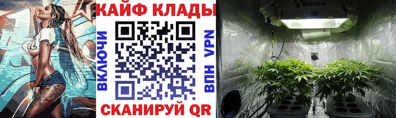 Сколько стоит Олонец Марихуана  Меф мяу мяу  COCAIN  MDMA  Гашиш  СК 