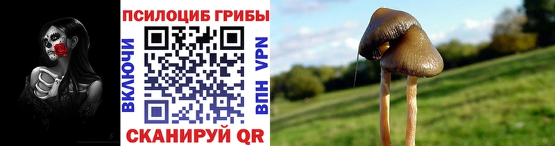 дарнет шоп  Олонец  Галлюциногенные грибы ЛСД 