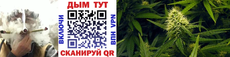 Марихуана OG Kush  купить   Олонец 